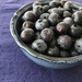 Blueberries  by beckyk365