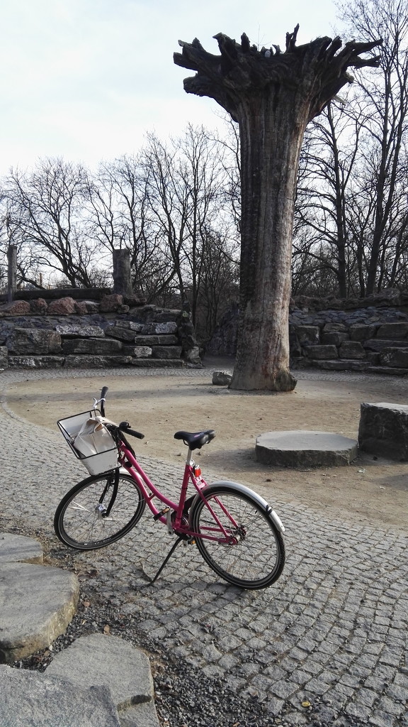 cycling in a park by zardz