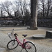 cycling in a park by zardz