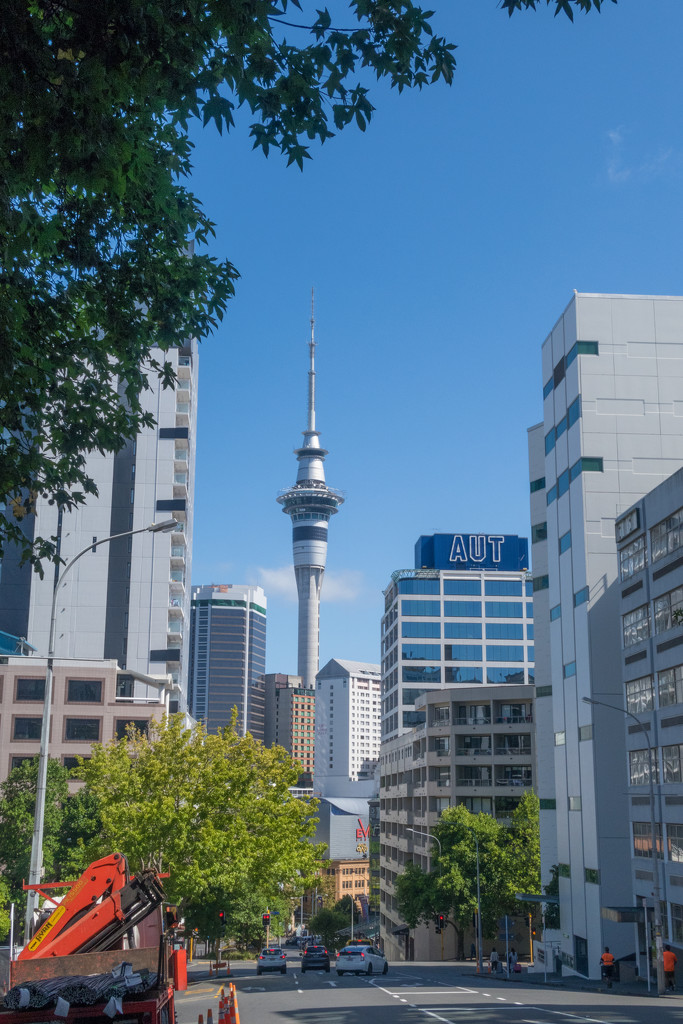 Sky Tower in Auckland by creative_shots