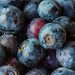 March Word - Blueberries  by farmreporter