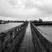 Westport, WA Harbor by clay88