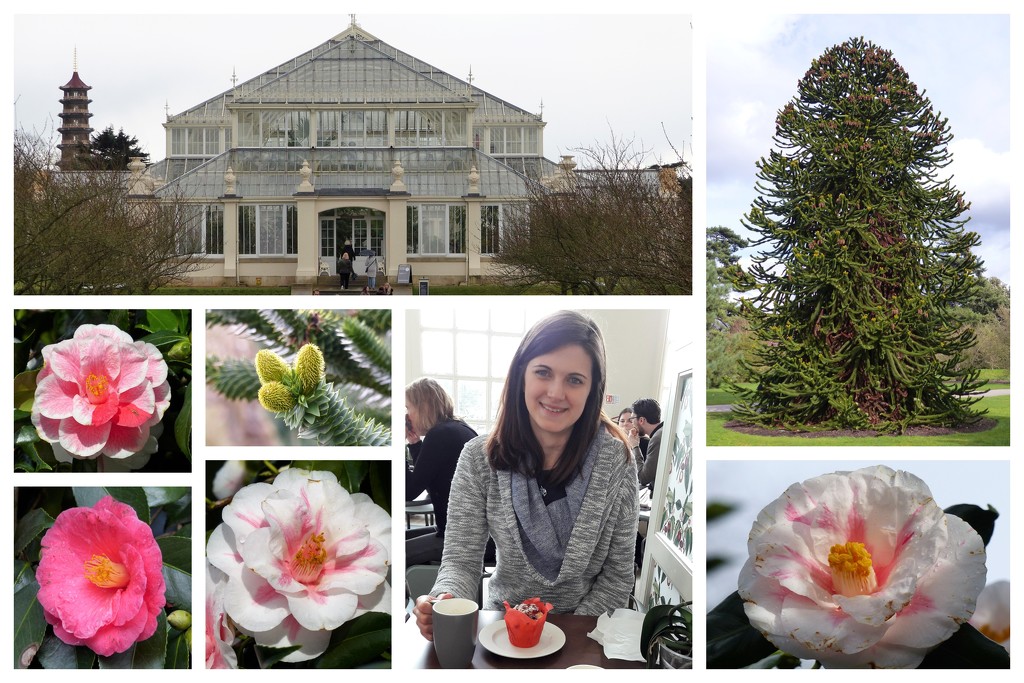  Kew Gardens by susiemc