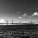 Road Bridges across the Forth by frequentframes