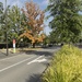 Streets of Canberra - Constitution Avenue by nicolecampbell