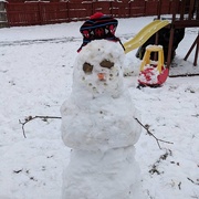11th Jan 2019 - Snow Angel to Snowman