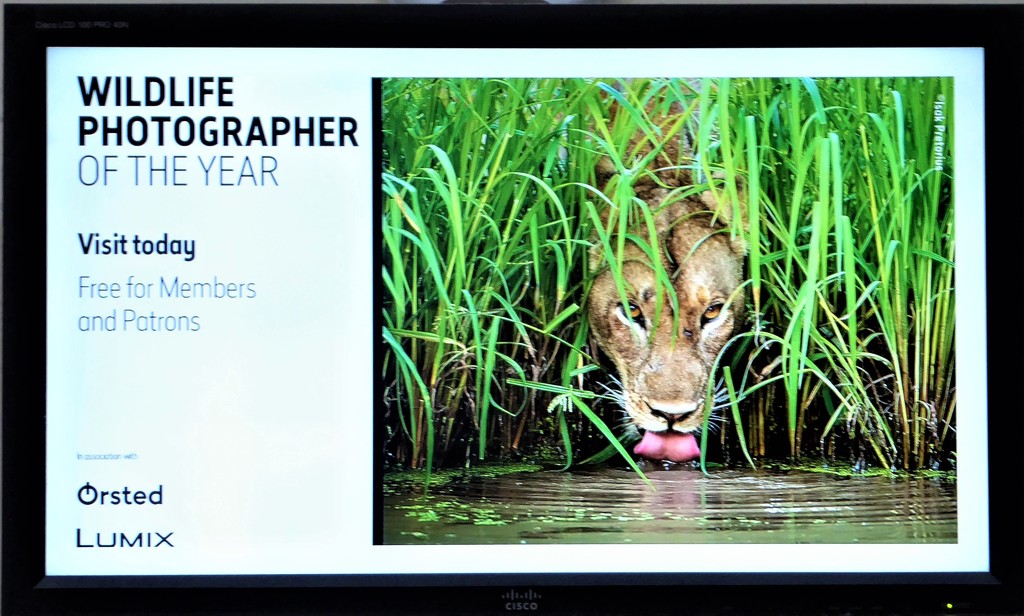 Wildlife Photographer of the Year Exhibition by susiemc