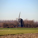 Windmill ``the Poel`` by pyrrhula