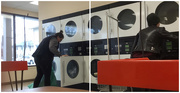 7th Mar 2019 - Hilliard-esque Laundromat #2 (Alternate)