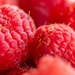 Raspberries by yorkshirekiwi