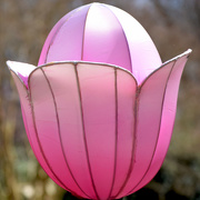 10th Mar 2019 - Pink Japanese Lantern