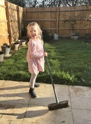 25th Feb 2019 - Little sweeper....