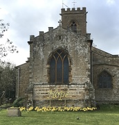 5th Mar 2019 - Daffodils at Church...