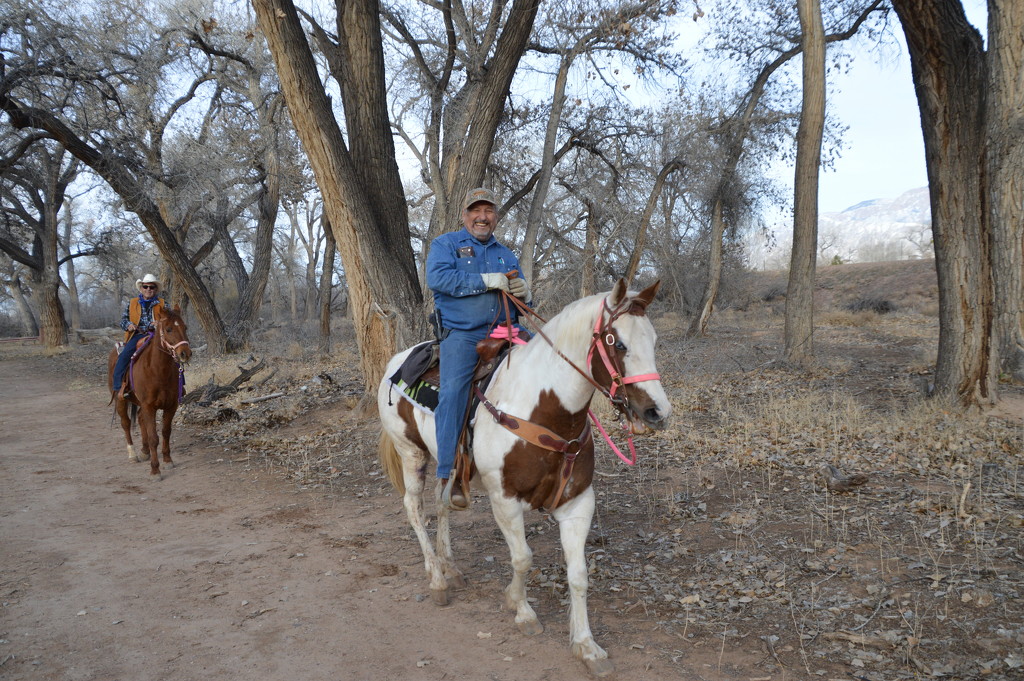 Horse Back Riders In The Bosque by bigdad