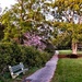 Path in Spring at Hampton Park by congaree