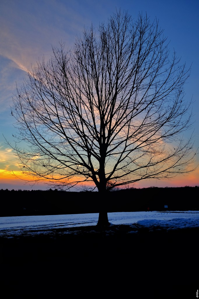 Winter Sunset by ramr