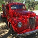 Red Truck by shutterbug49