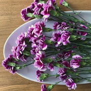 9th Mar 2019 - Mini-carnations 