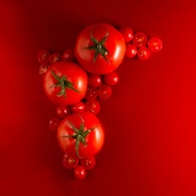 11th Mar 2019 - Tomato - Tomate