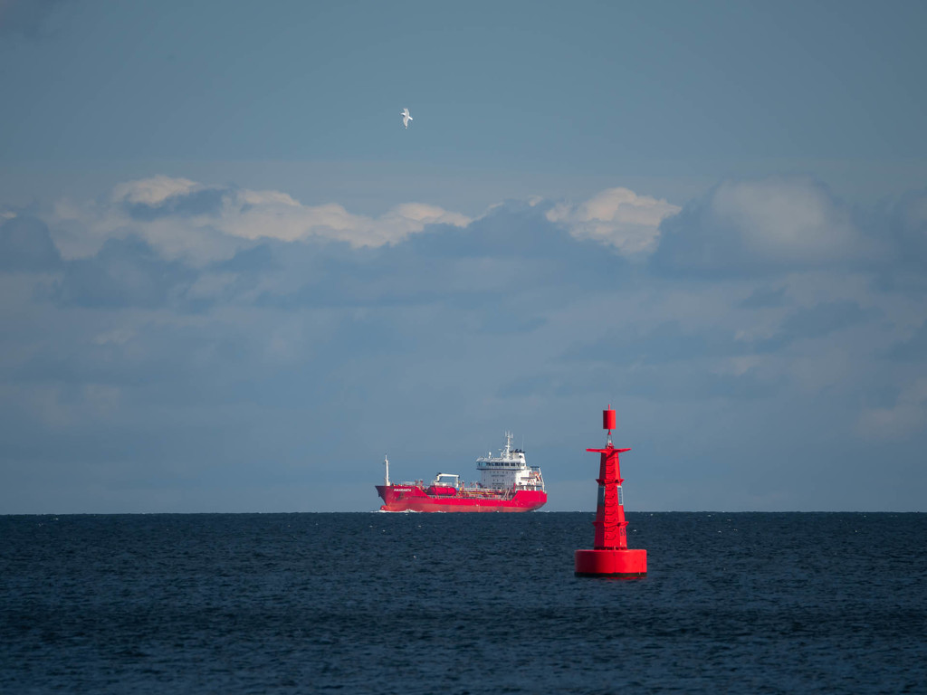 The red buoy by haskar