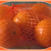Oranges by grace55