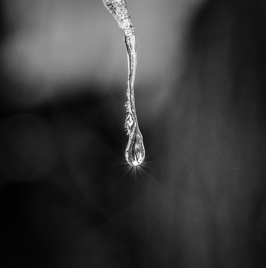 icicle by aecasey