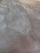 12th Mar 2019 - White fluffiness