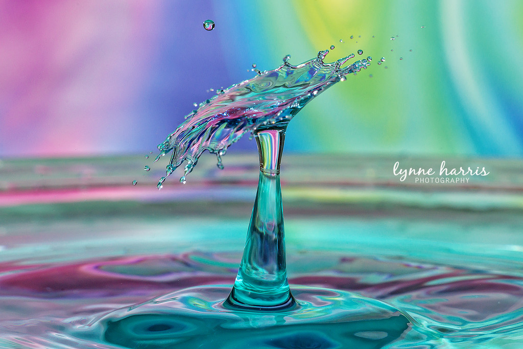 Water Drop Collision II by lynne5477
