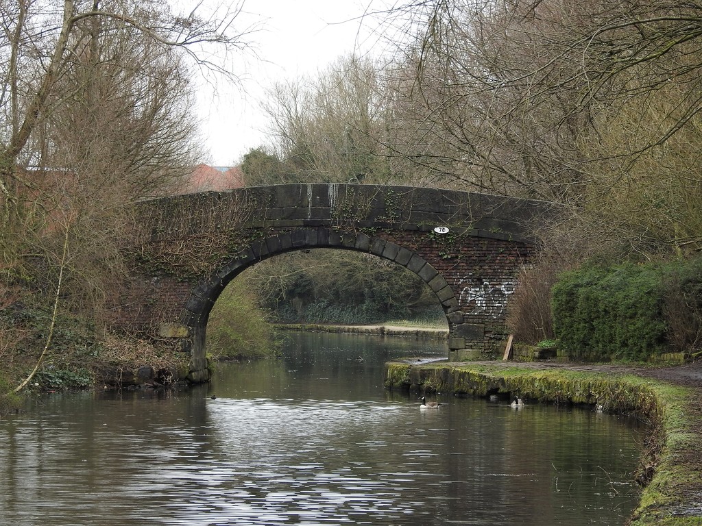 Bridge Over the Rochdale Canal - Failsworth 2 by oldjosh