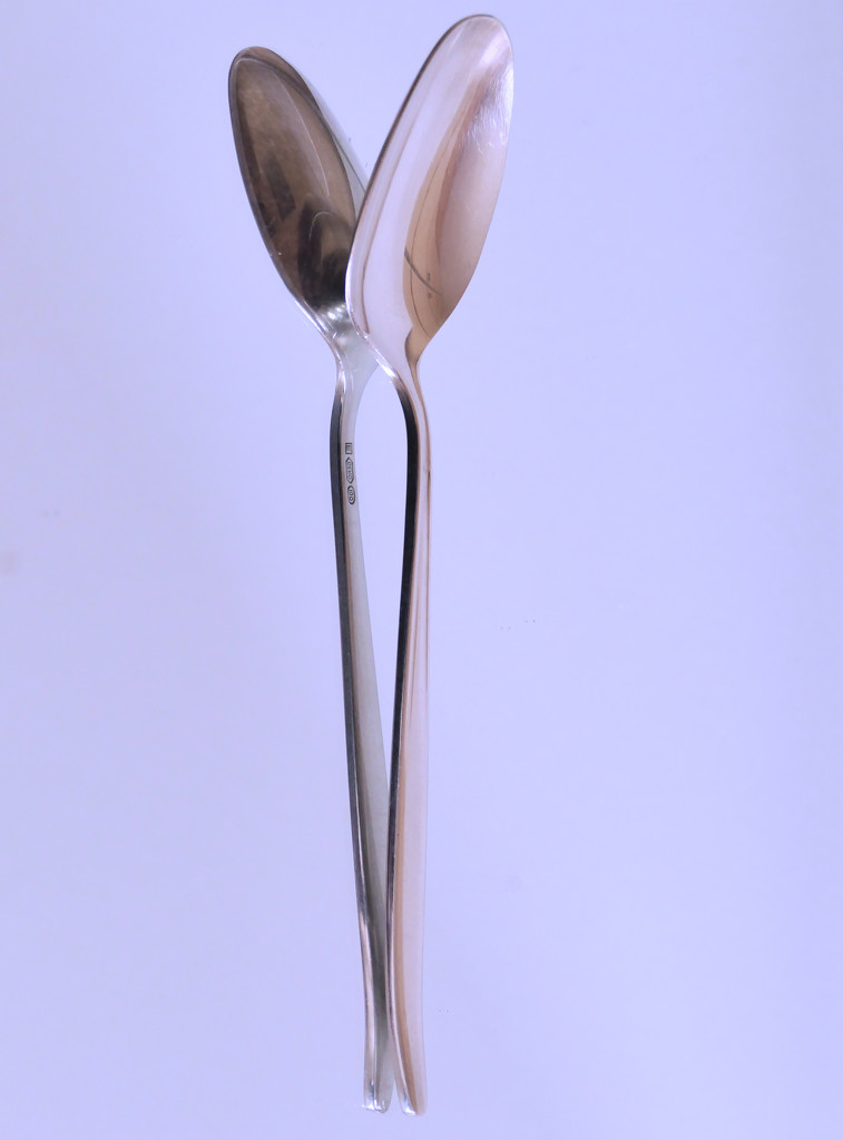 spoon in lavender by marijbar