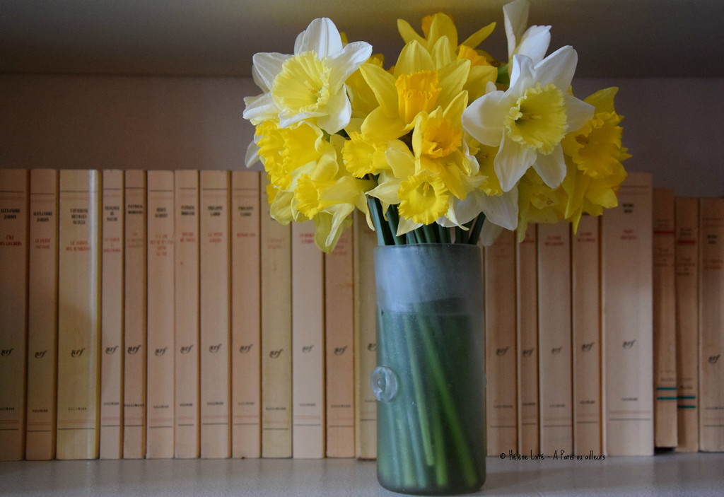 books and daffodils by parisouailleurs