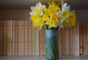 11th Mar 2019 - books and daffodils