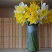 books and daffodils by parisouailleurs