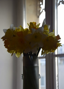 11th Mar 2019 - Spring in a bouquet