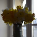 Spring in a bouquet by parisouailleurs