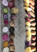 13th Mar 2019 - Potato Rainbow 