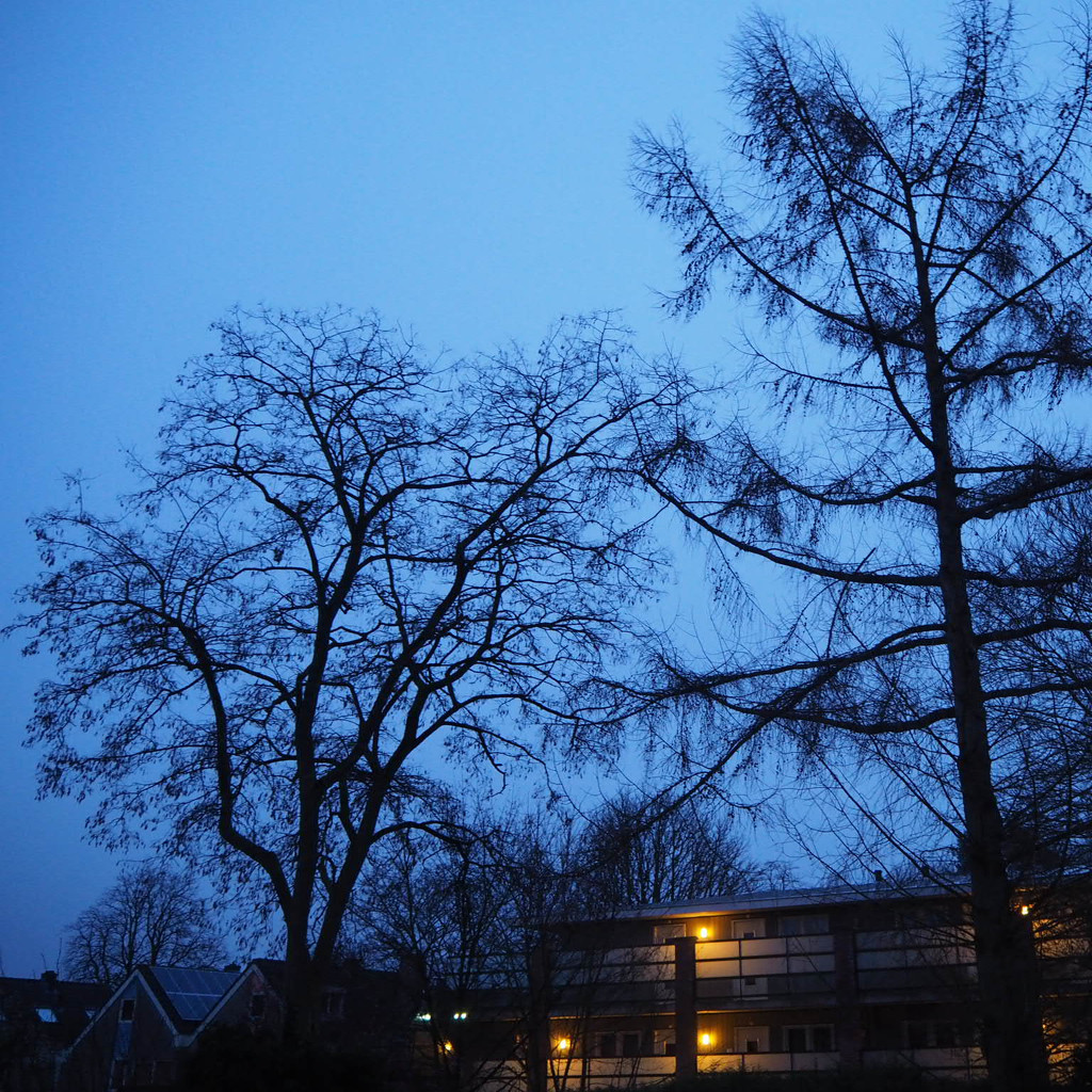 Blue hour shot by jacqbb