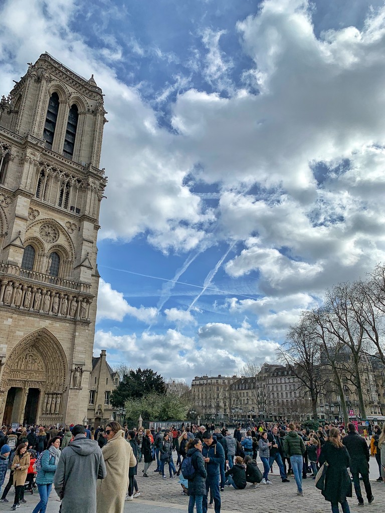 A piece of Notre-Dame.  by cocobella