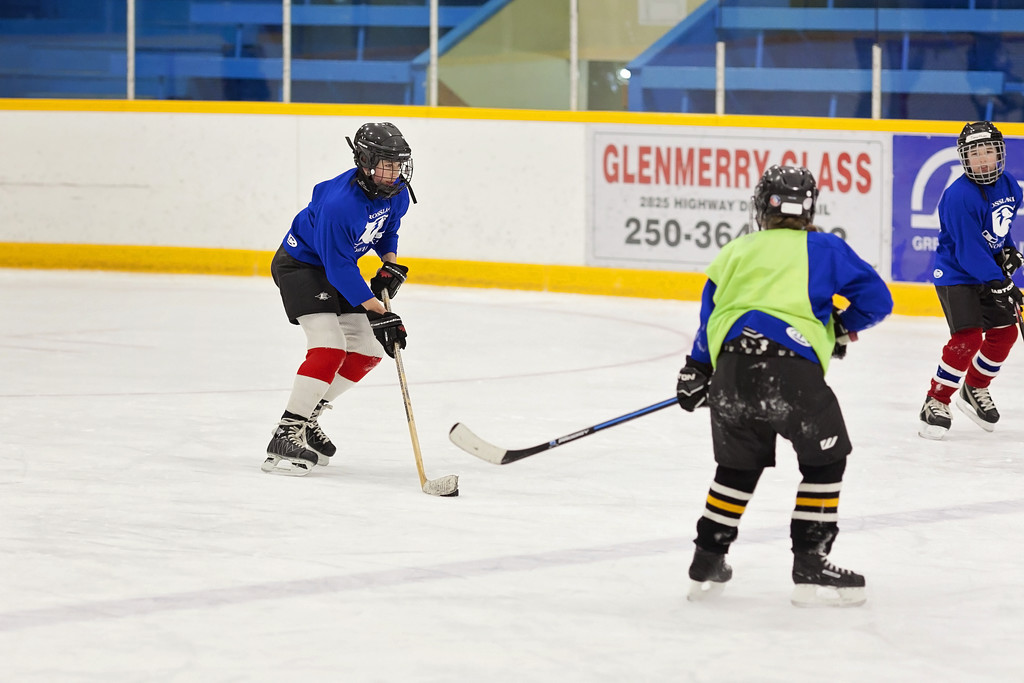 Playing Hockey by kiwichick