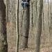 Treestand by julie