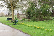 14th Mar 2019 - Benches On Thursday
