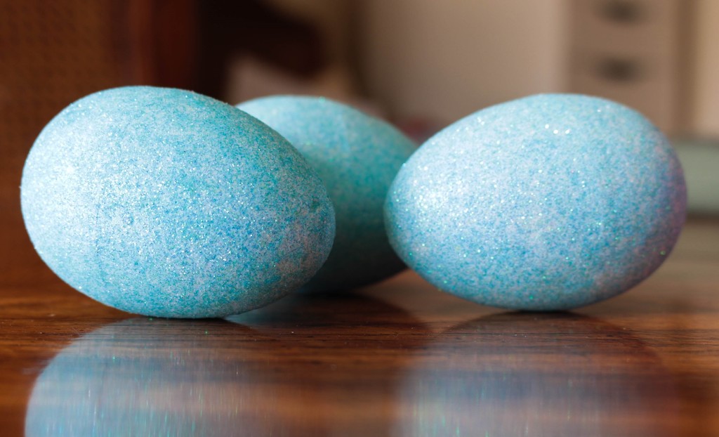 Blue eggs by mittens