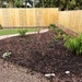 Another Completed Area of Garden by susiemc