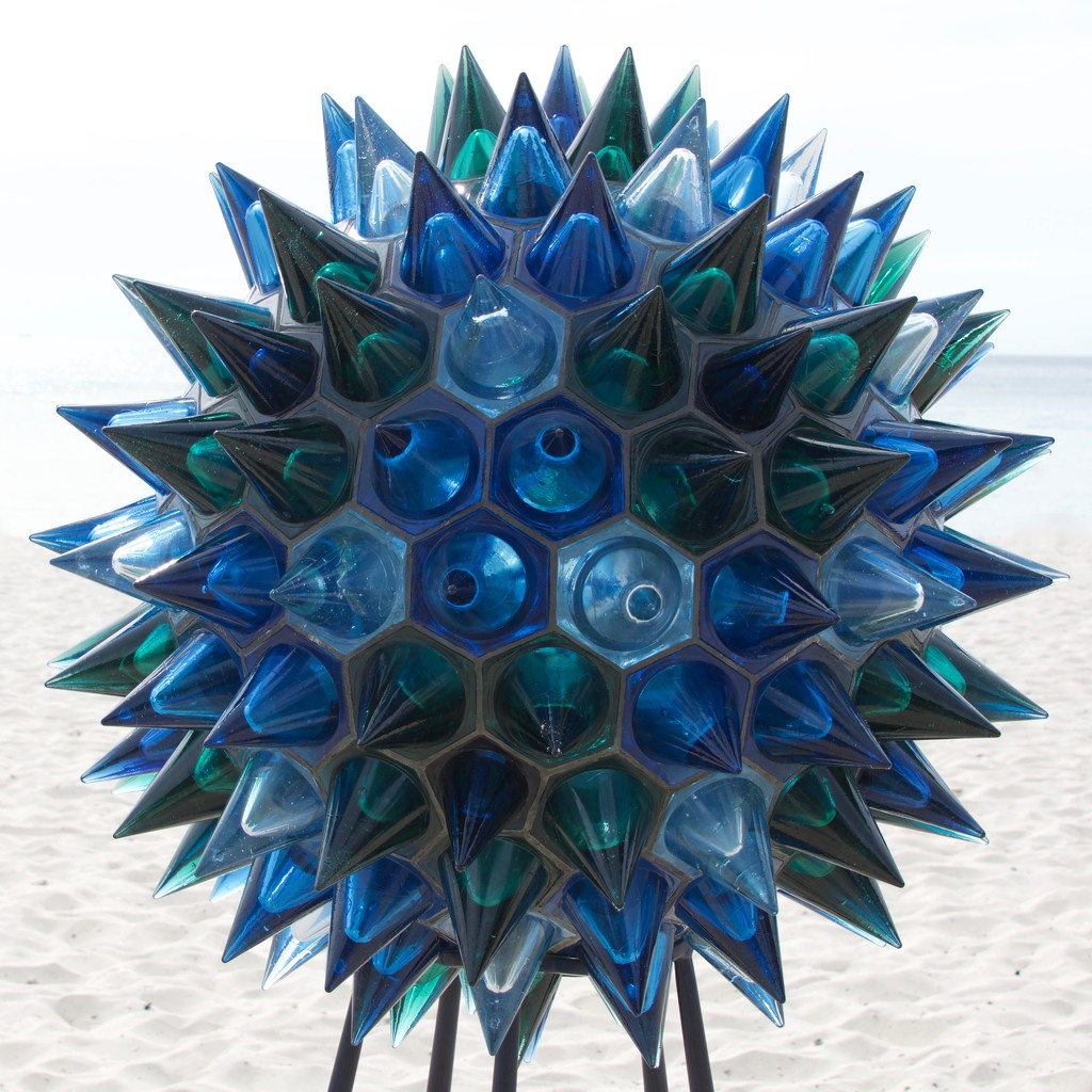 Spiky Blue.._DSC7048 by merrelyn