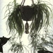 Our spider plant. by bruni