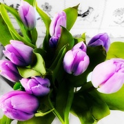 16th Mar 2019 - Purple Get Well Tulips