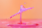 16th Mar 2019 - Mexican Hat Water Drop
