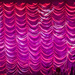 Pink curtain call by sugarmuser
