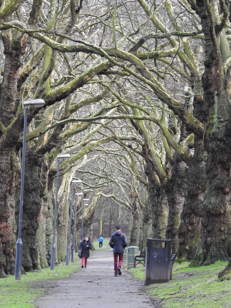 A Stroll Along the Avenue by oldjosh