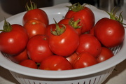 17th Mar 2019 - A Bowl of Tomatoes